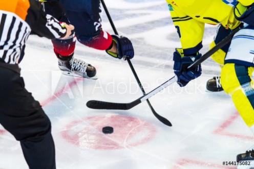 Picture of Ice hockey player on the ice